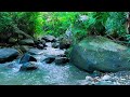 🌿 Calm Water Stream Sounds for Focus, Study and Deep Sleep Relaxation 📚