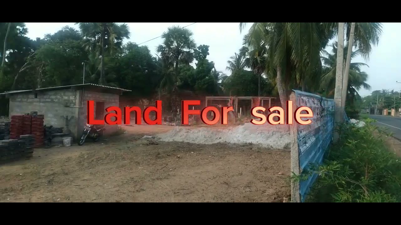Land for sale Kopay Jaffna Lands & Homes YouTube