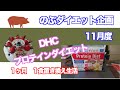 のぶダイエット１１月度『DHCプロテインダイエット』生活。　一食置き換えでどのくらい痩せるのか？検証していきたいと思います！！