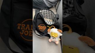 Trader Joe’s Halloween Mini Tote