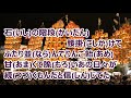 祭りの宵/木村徹二 カラオケ