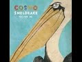 Cosmo Sheldrake - The Fly