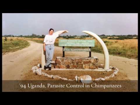 tufts university jobs International Veterinary Medicine: A Retrospective