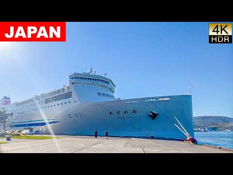 JAPAN's Overnight Ferry Trip 16 Hours Like A Capsule Hotel Room from Hokkaido to Niigata