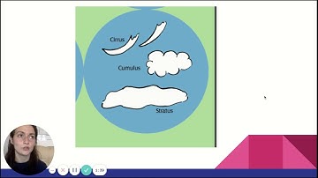 Field Trip   Google Slides