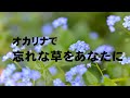 オカリナで「忘れな草をあなたに」(歌詞付き)