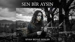 Sen Bir Aysın Melankoli Ve Sessizlik