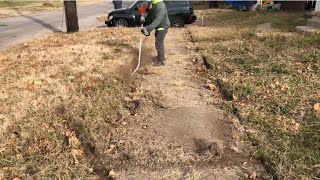 Clearing this sidewalk was backbreaking