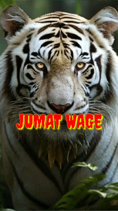 weton Jumat Wage #weton #primbon #jumatwage