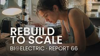 Bioelectric Report 66 How Any Fragment of a Worm Rebuilds the Whole Worm to Scale