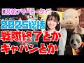 【豚次郎の愚弟フリートーク!】2025年振り返り/ゴジュウジャー・戦隊終了~ギャバンインフィニティへ【特撮解説】