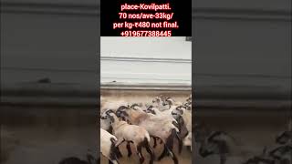 code-6935-per kg ₹460 not final