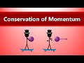 Momentum and Conservation Quiz