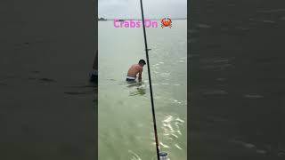 Crabs On #follow #crab #island