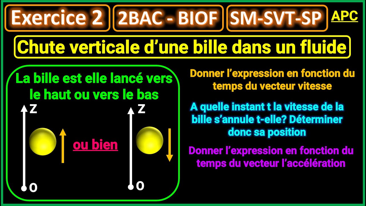 Exercice 2: Chute verticale (Lancement d'une bille sans savoir le sens du mouvement) || (2BAC BIOF)