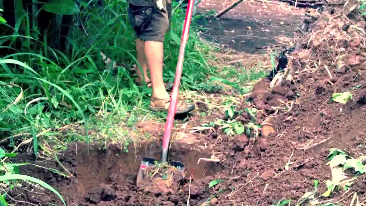 Hugelkultur Bioremediation Soil Restoration Project Kauai, Hawaii
