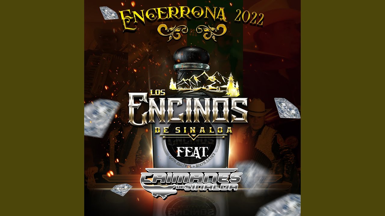 Alfredo Beltran (En vivo) YouTube