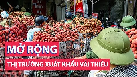 Rộng mở thị trường xuất khẩu vải thiều