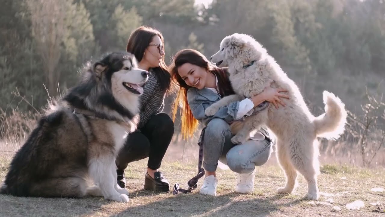 10 most unusual pets you can actually own | craziest pets at home | awesome pets