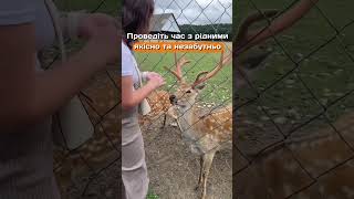 Релакс тур на Закарпаття