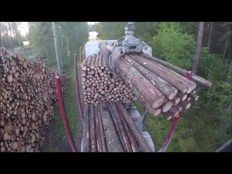 Timber Truck Loading by Epsilon M12L