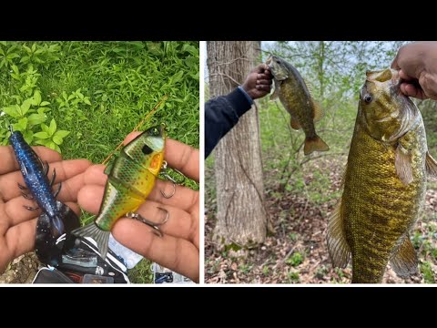 Bass Fishing Made Easy With These Baits