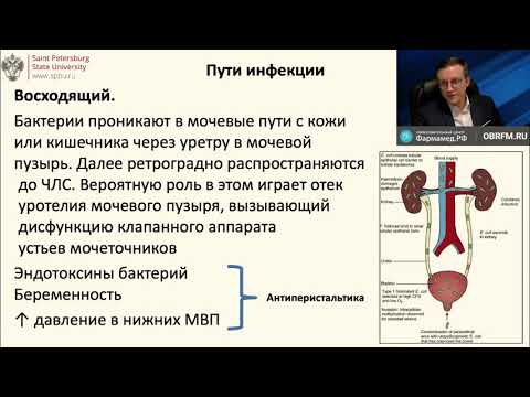 Видео: Когда обращаться к врачу по поводу инфекции мочевыводящих путей?