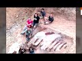 Experts unearth huge dinosaur skeleton in Portugal