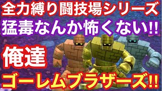 【ドラゴンクエストタクト】全力縛り闘技場シリーズ！猛毒付与？特殊ルールを無視するゴーレムブラザーズwith物質系で＋80倒します‼︎