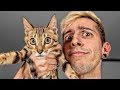 MI NUEVO GATO | Robleis