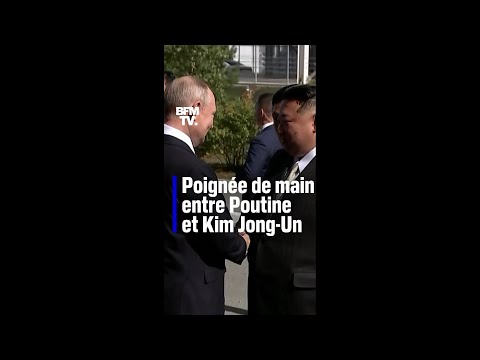 La poignée de