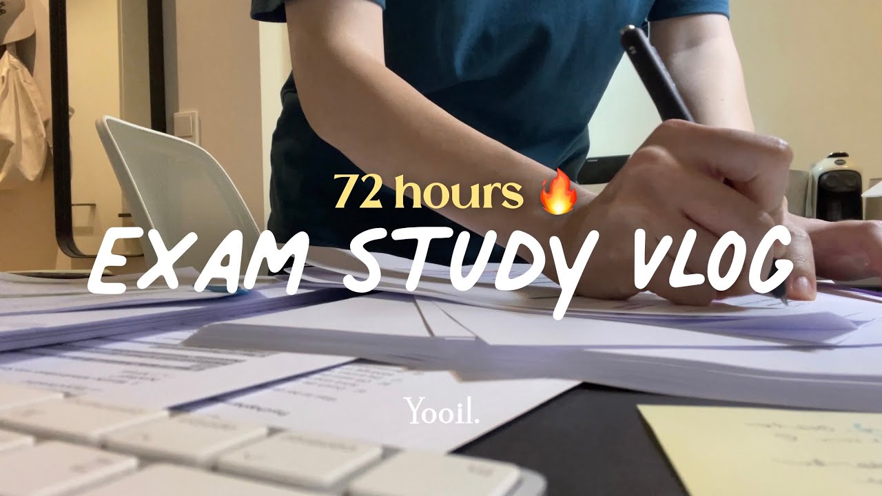 (sub)  72시간의 기적.. 시험 3일 전 벼락치기 브이로그⚡| 학점 공개 | 독일 심리학과 시험기간