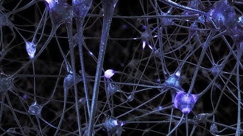 Network of Neurons and Synapses | Motion Graphics - Videohive template