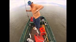 Whatever Bites Trestles