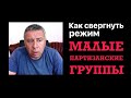 Как свергнуть режим.  Малые партизанские группы.