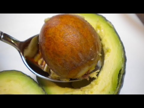 Video: 3 Möglichkeiten, Avocadoöl herzustellen