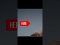 My Best Prank Yet - RDR2