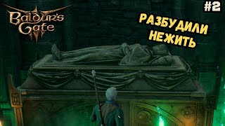 Приключения Дроу в Baldur's Gate 3 | Полное прохождение #2 - Берег и Темный склеп