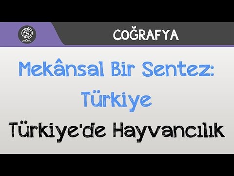 Mekânsal Bir Sentez: Türkiye - Türkiye'de Hayvancılık