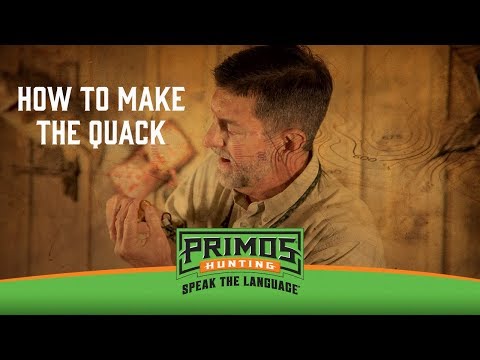 How to Make the Quack