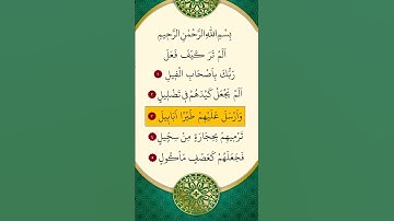 محمد الفقية - سورة الفيل