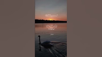 #سورة_النصر #الشيخ_سعد_الغامدي {إذا جاء نصر الله والفتح}#تلاوة_خاشعة #قرآن_كريم #راحة_نفسية