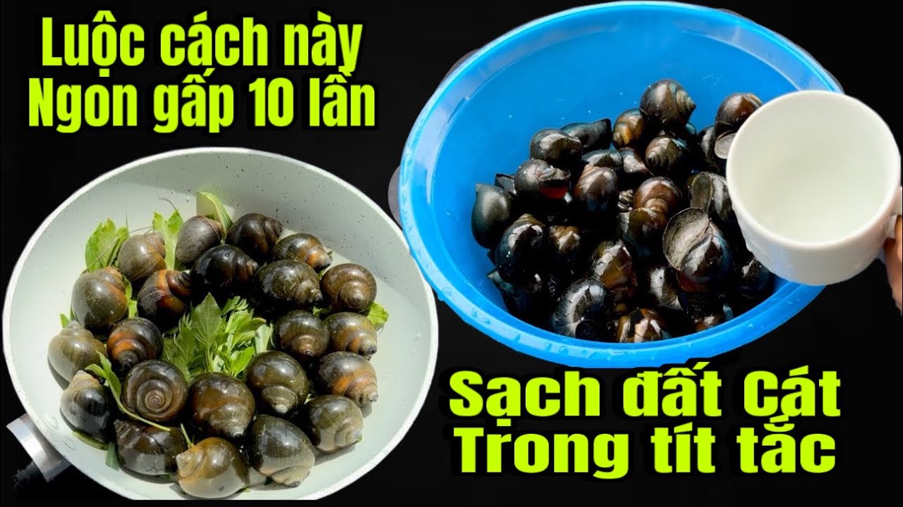 Đầu Bếp Trung Hoa Đã Dạy Làm Sạch Ốc Trong Tít Tắc , Và Cách Luộc Ngon Gấp 10 Lần Thông Thường