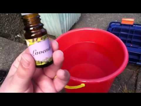 How to clean a horses' grooming Kit/ brushes