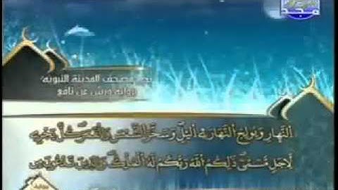 سورة فاطر كاملة الشيخ العيون الكوشي Faatir