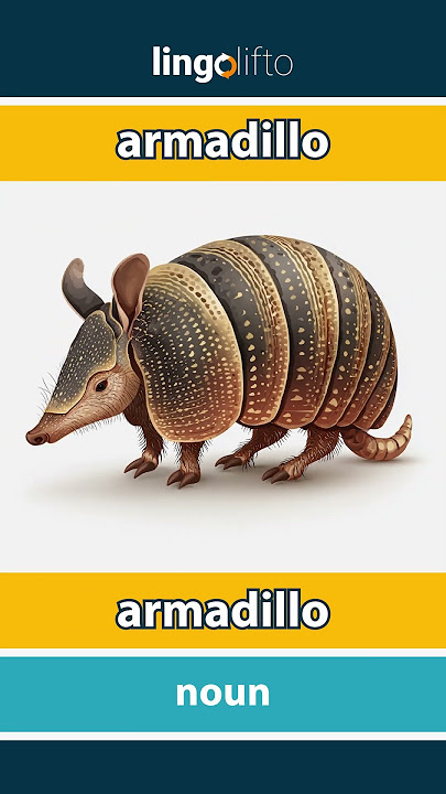 🇬🇧🇮🇩 armadillo - armadillo : learn English : ayo belajar bahasa Inggris : vocabulary builder