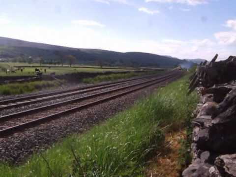 Deltic 55022 on The Deltic Retro Scot ll on Mon 31...