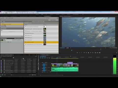 Avid MediaCentral | UX Connector for Adobe Premiere Pro