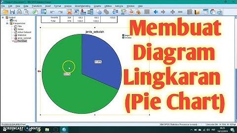 Tutorial SPSS - Membuat Pie Chart (Diagram Lingkaran)