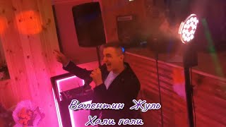 Хали Гали - Леприконсы (Cover Валентин Жуль) на свадьбе